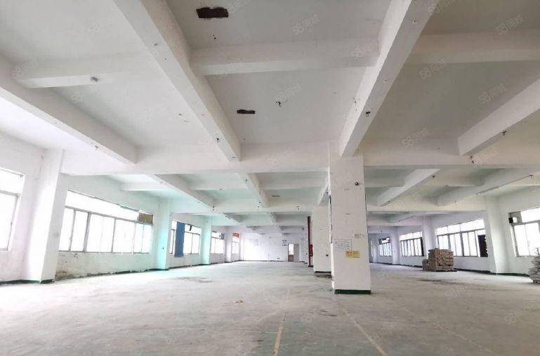 龙华浪口工业园独门独院200平600平红本厂房 仓库低价招租