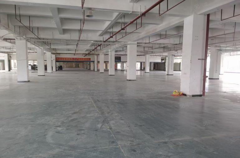 21元租龙华大浪5000平高台物流仓丙二类消防可分租