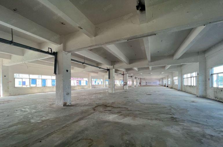 龙华地铁口红本独院厂房仓库5200平出租场地大形象好易招工