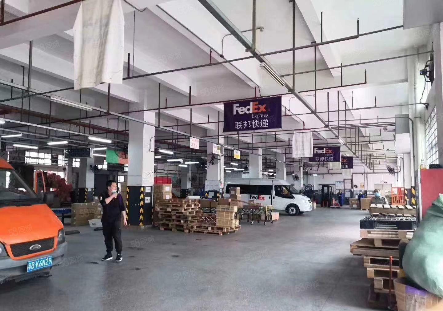 布龙路边上新出一楼1200平适合做国际物流跨境电商仓库