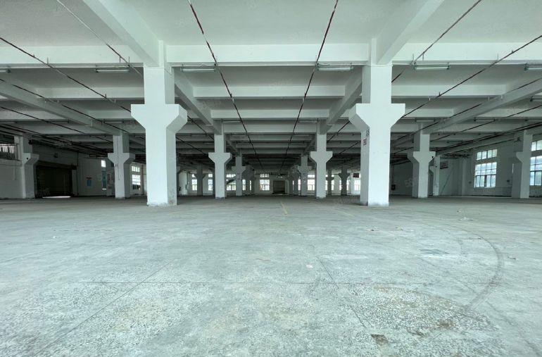 观澜樟坑径原房东8000平厂房仓库出租 园区形象好空地大