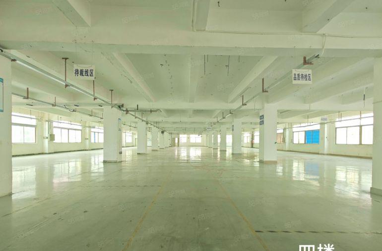 观澜牛湖原房东独门独院厂房出租电商一楼仓库300平起可分租