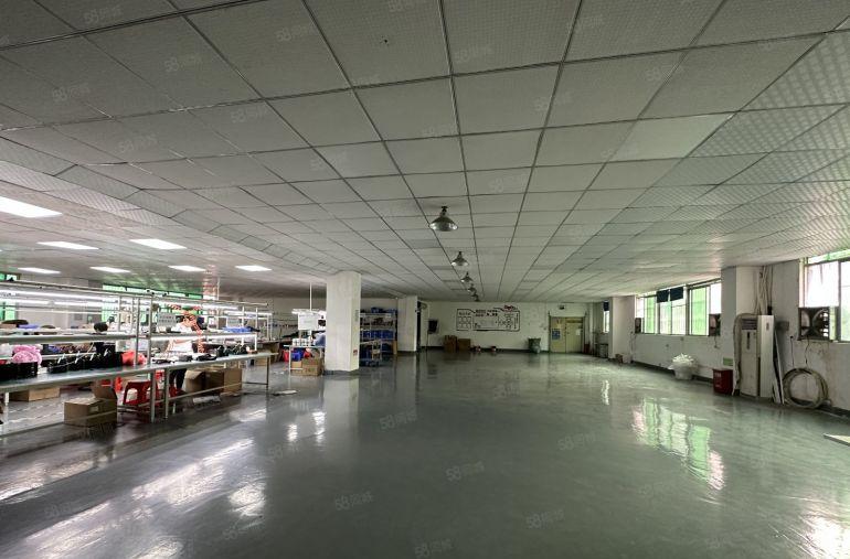 龙华大浪新百丽工业园1100平精装修办公室仓库厂房出租可分租