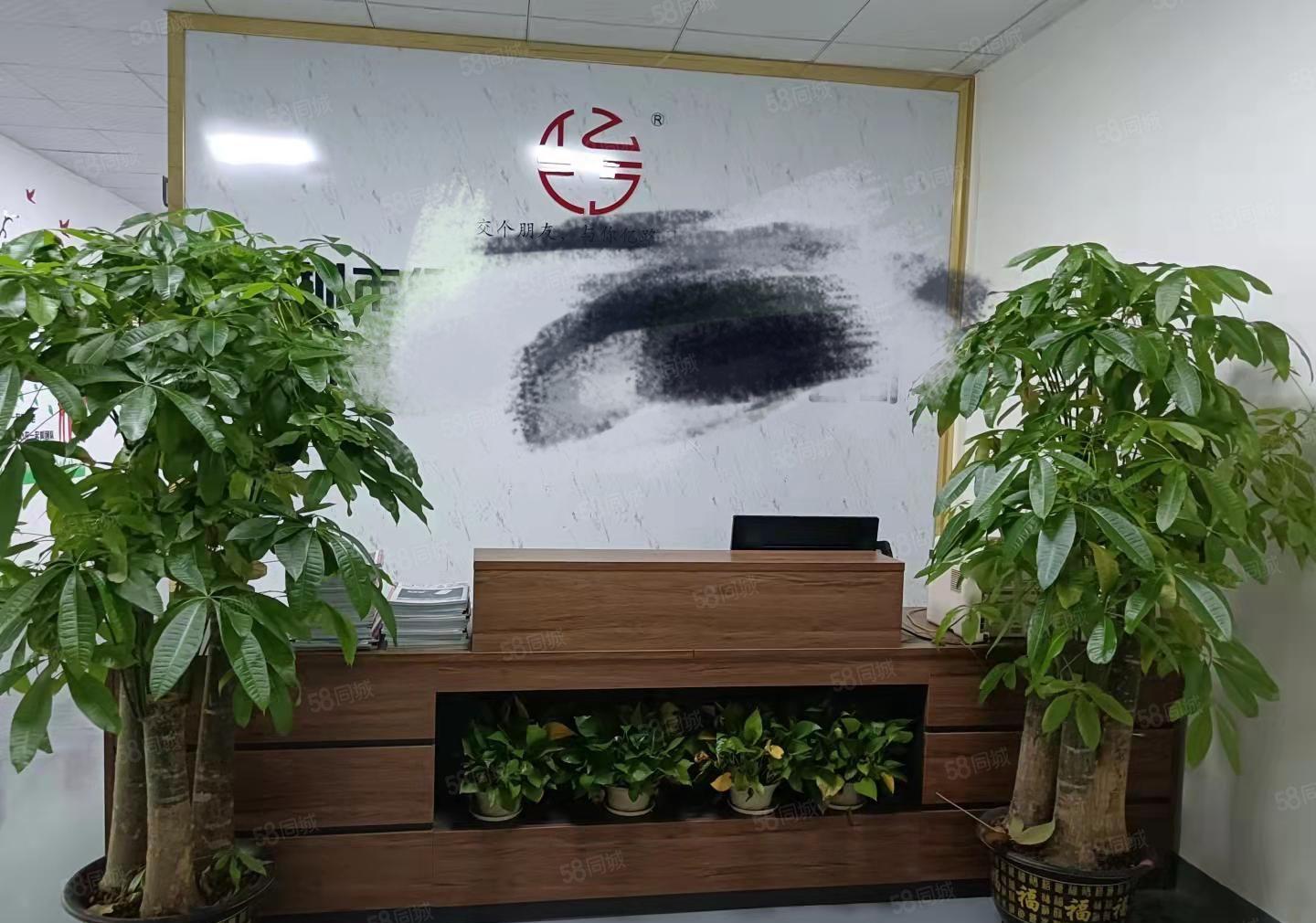 大浪楼上800平，工业园厂房出租，格局是4加1，精装修，低价