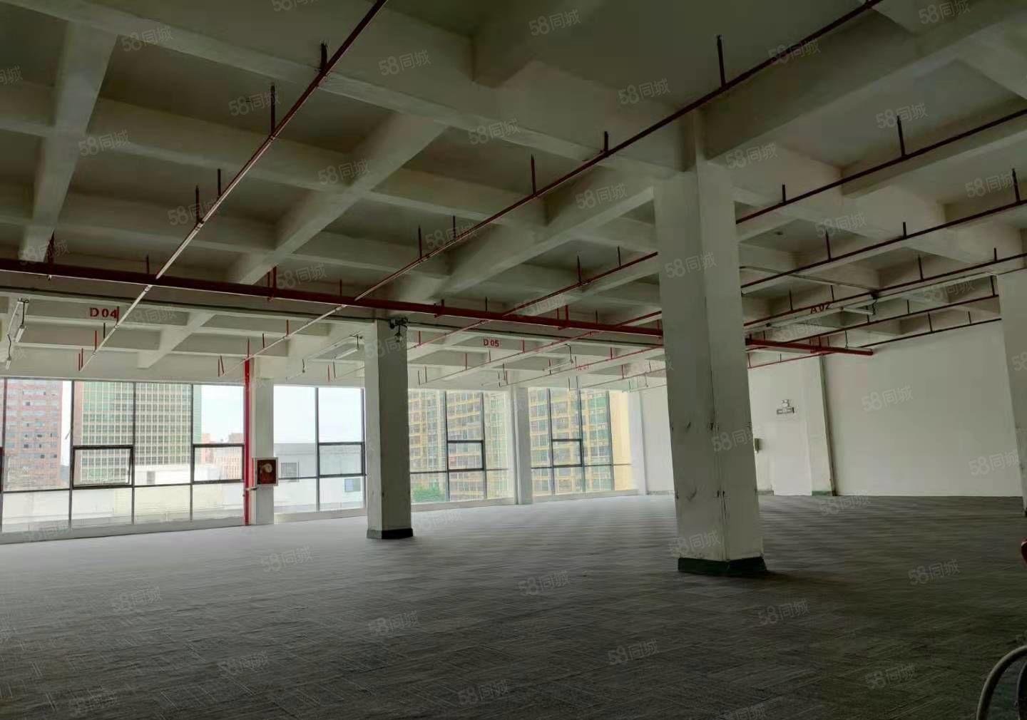 龙华大浪商业中心全新装修厂房出租300平到3000平分租