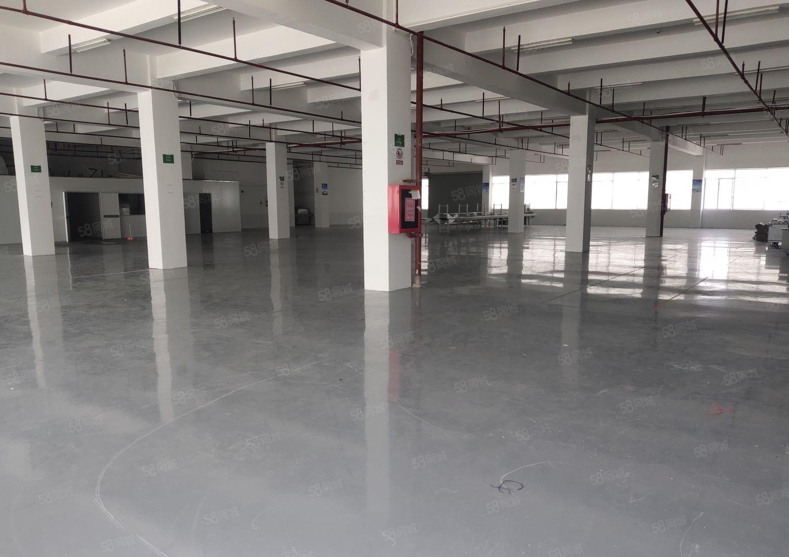 龙华元芬地铁口光浩工业园2800平方厂房出租500平起分租