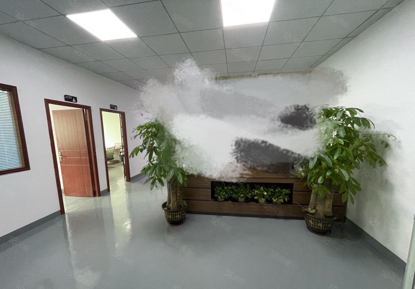 龙华大浪工业园小面积800平精装修拎包开工