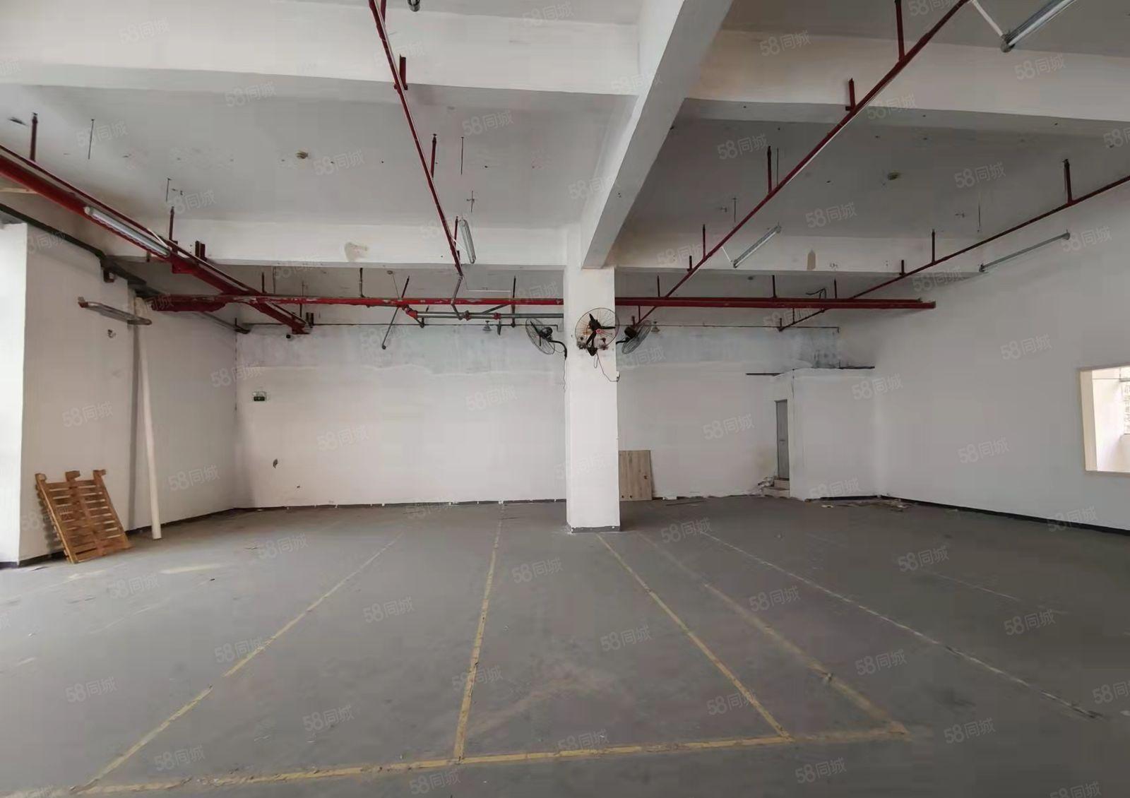 油松第二工业区新出一楼物流厂房540平分租，使用率高水电齐全