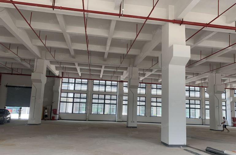 龙华大浪原房东一楼实际面积出租1500平可分租好进大车