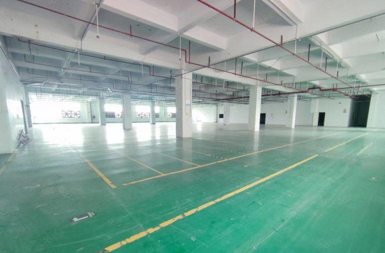 观澜观光路边厂房出租2800平 20元厂房还可谈