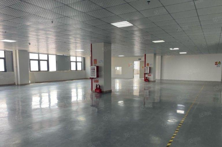 龙华新出红本现成装修科技园楼上1000平办公室仓库厂房出租