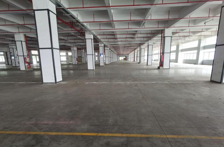 20元起租龙华大浪原房东工业园一楼二楼各2万平厂房出租可分租