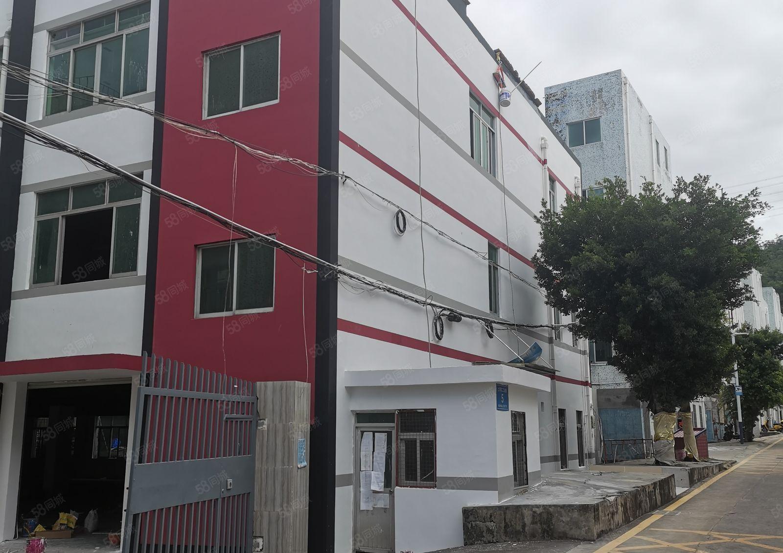 独门独院全新厂房出租3680平，可分租