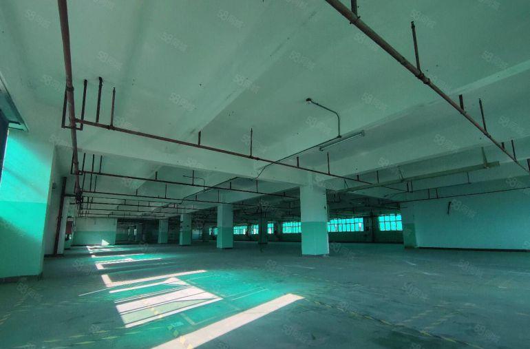 龙华大浪原房东1000厂房仓库出租 实用8成 200起