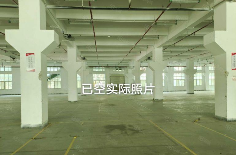 龙华清湖北地铁口新出一楼2000平层高6米带牛角厂房出租