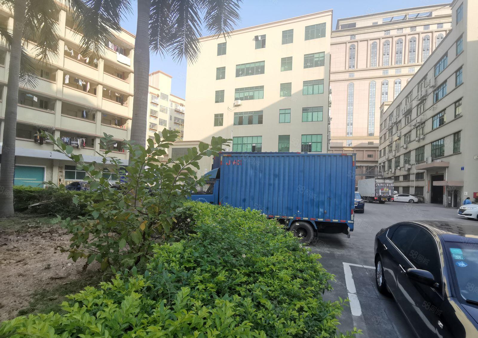 500至2000平大浪石凹工业园原房东仓库厂房无尘车间出租