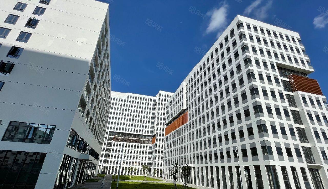 龙澜大道全新厂房，整栋面积26325平，可分租单层1789平