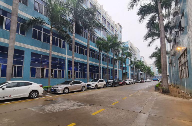 龙华厂房红本原房东整层5000平办公厂房仓库出租大小可以分租