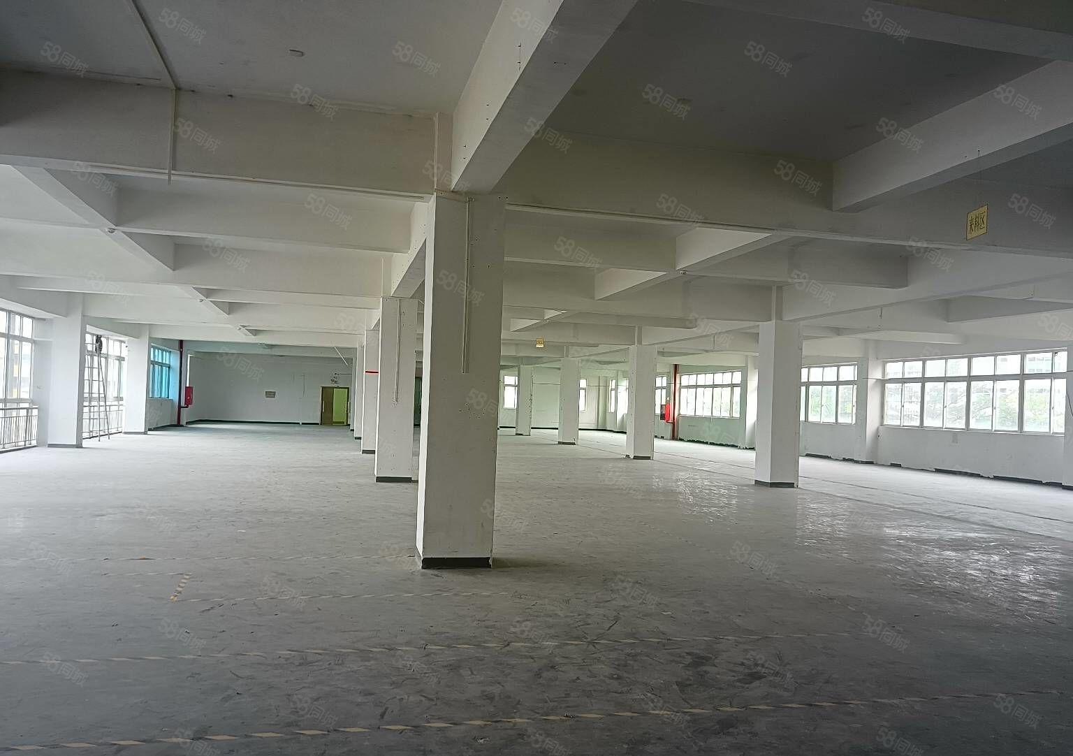 龙华大浪商业中心新出楼上1915平精装厂房出租