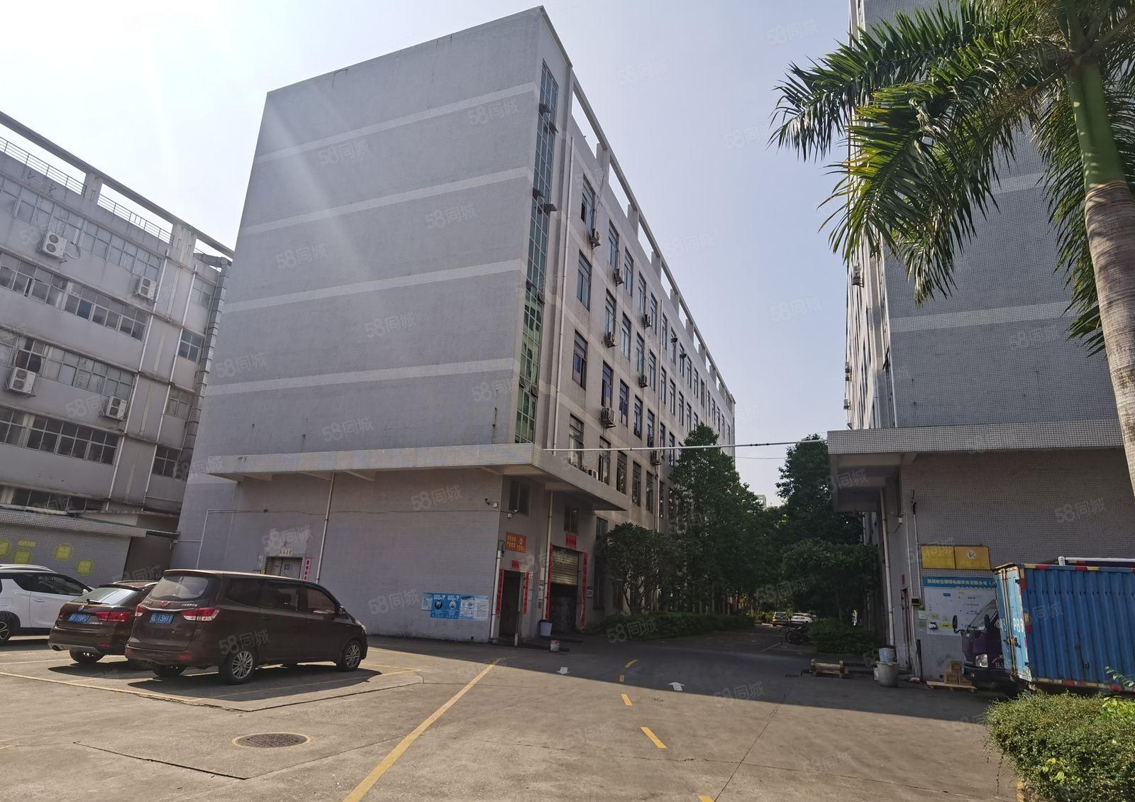 观澜新田工业区即将空出独栋标准厂房6000平方出租可分租