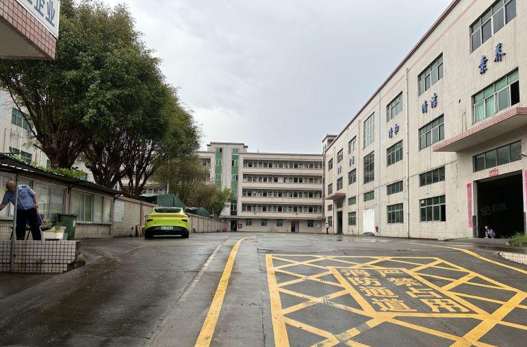 观澜桂花红本独院厂房6400平精装修电商办公物流仓库厂房出租