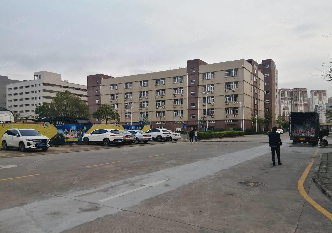 300平起租观澜原房东工业区新空出2栋 2万平厂房一楼6米高