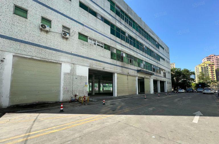 华为九龙山片区2000平一楼厂房仓库出租，挂车可自由进出