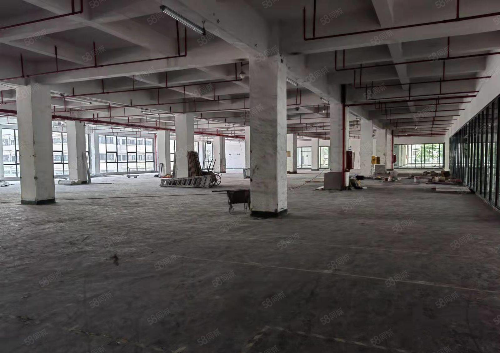 龙华大浪商业中心116平~4000平精装办公厂房出租可分租