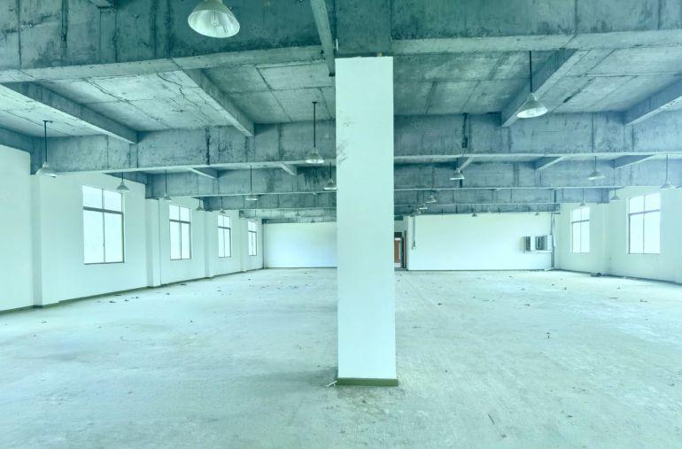 清溪物流仓库出租5万平有卸货平台消防喷淋，5吨货梯，双高速口