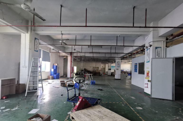 200平起龙华大浪原房东带精装修办公室仓库厂房出租可分租