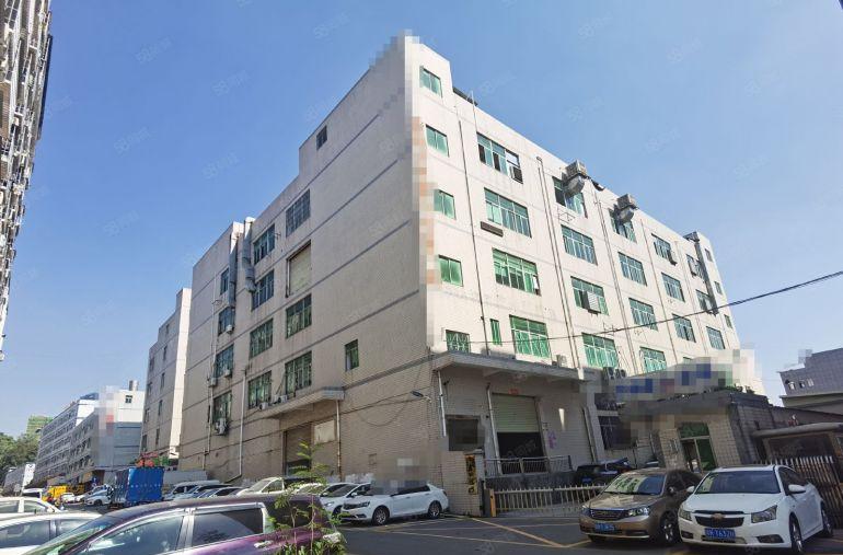 龙华观澜新田原房东红本楼上1450平，精装修，前台，价格便宜