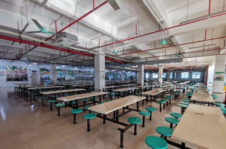 业主直租 龙华观澜银星科技园1万平米 独院红本厂房可过环评