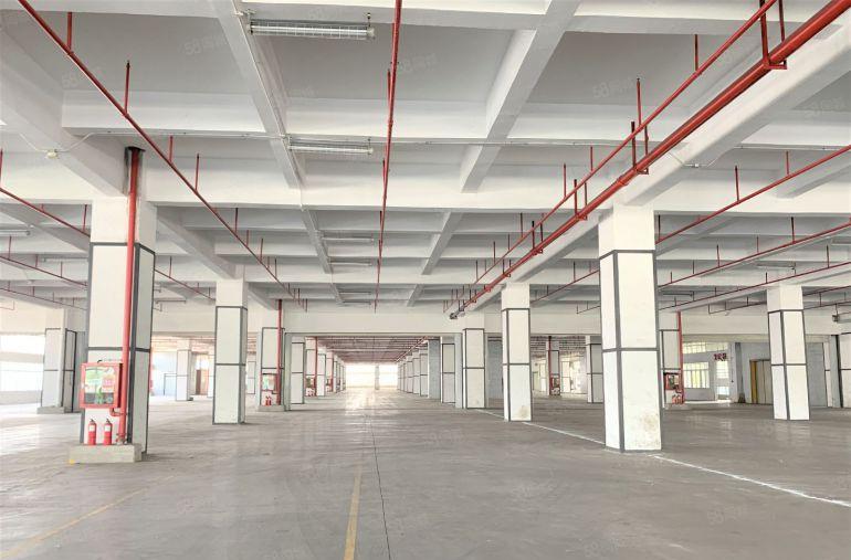 龙华大浪红本厂房仓库工业区4600平可分租带丙二类消防易招工