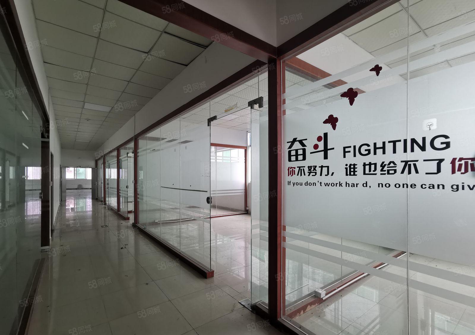 龙华大浪红本独门独院工业园850平带精装修办公室仓库厂房出租