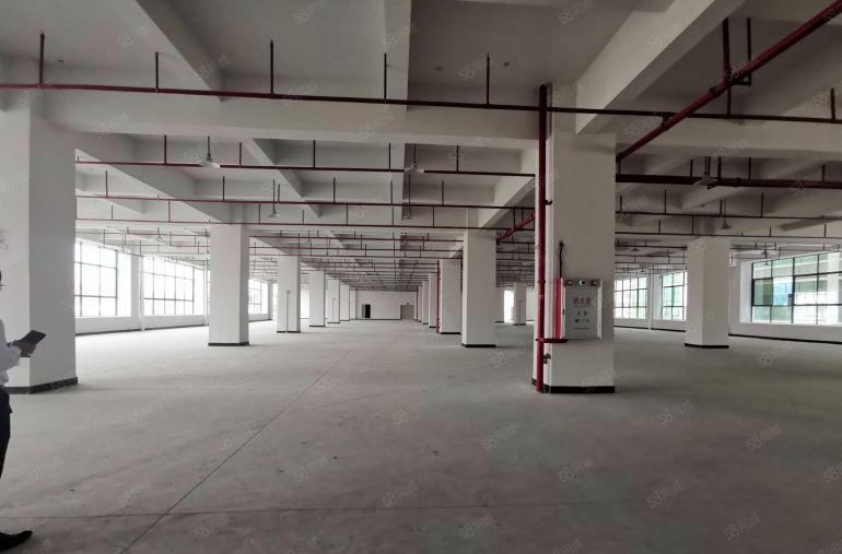 龙华大浪6500平原房东独门独院独栋红本厂房出租可分租无公摊