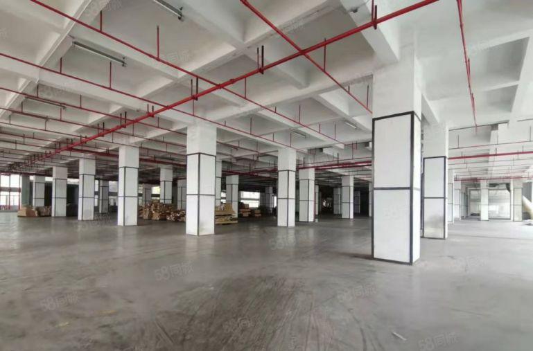 龙华27万平1000平起分电商物流仓库低价出租好停车交通便利