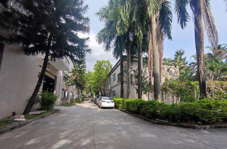 观澜原房东 独院厂房出租8700平方，有独立办公楼宿舍 含税