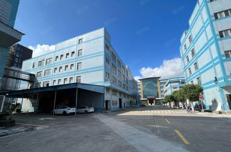 龙华大浪大型电商产业园1500平厂房仓库办公出租