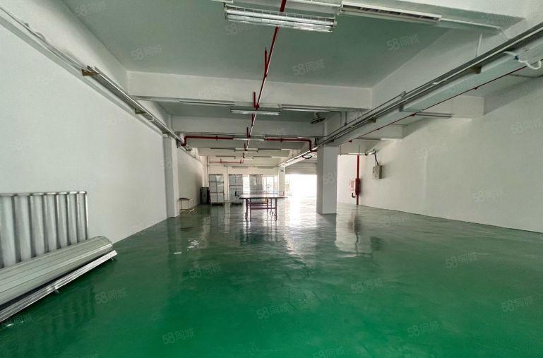 龙华清湖地铁口一楼310平精装修厂房仓库招租