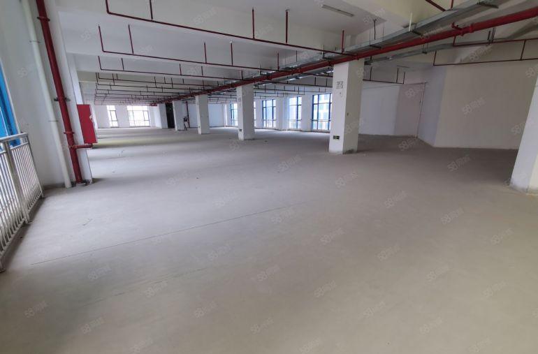 深圳龙华独门独院厂房出租超大空地一楼仓库办公整租分租物流仓库