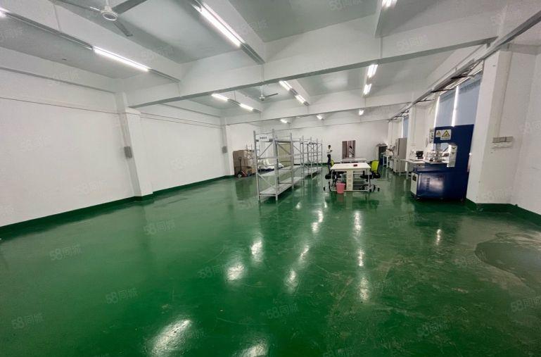 龙华商业中心1000平个人精装修全新地坪漆办公室仓库厂房出租