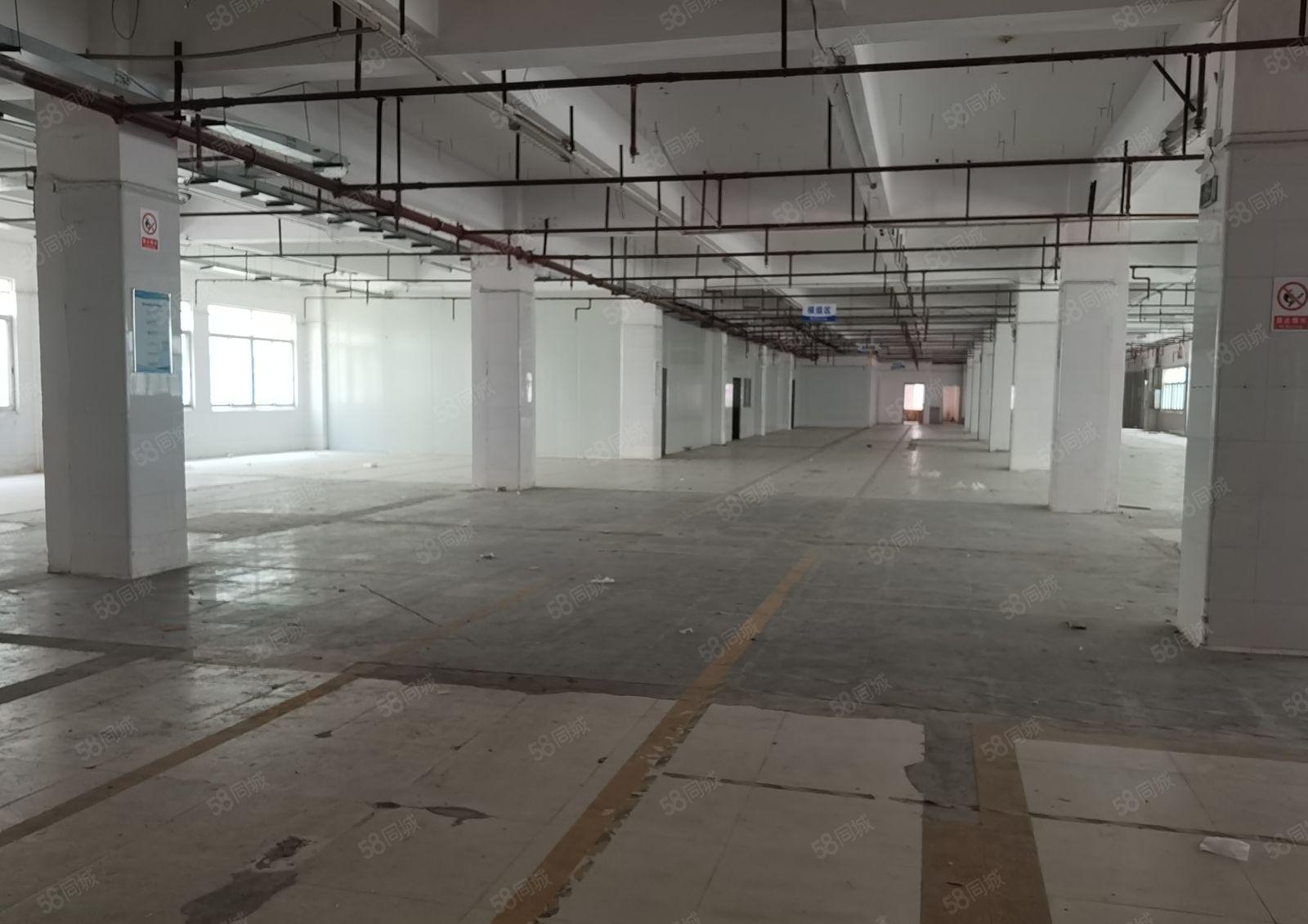 龙华大浪华宁路红本园区二楼1380平米出租形象好空地大好停车