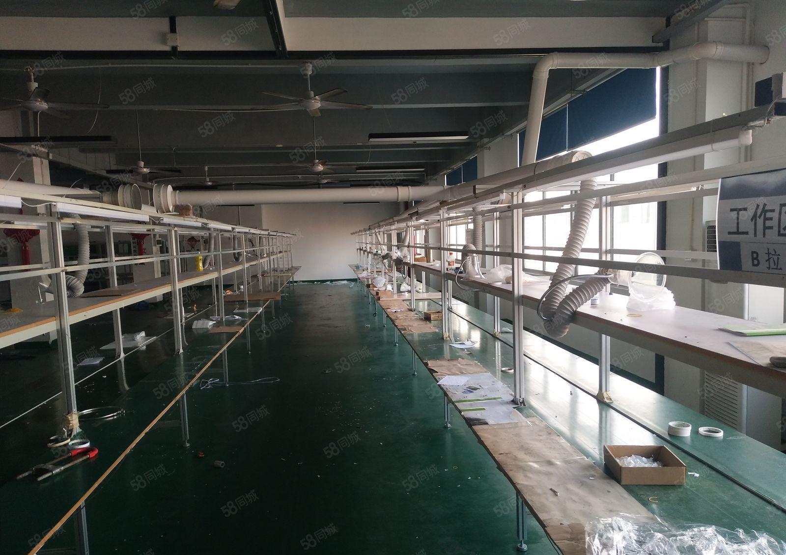 精装修厂房，环境好，交通便利