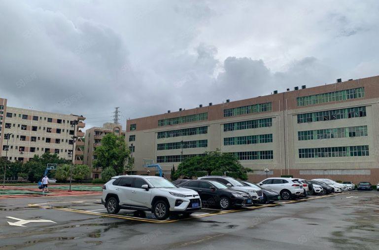 单价20年前低价厂房出租龙华清湖地梯口旁工业园500平起租