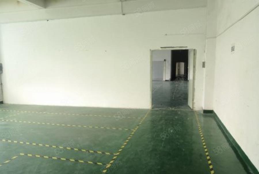 龙华中源工业区特价厂房700平原房东直租，龙华中心区