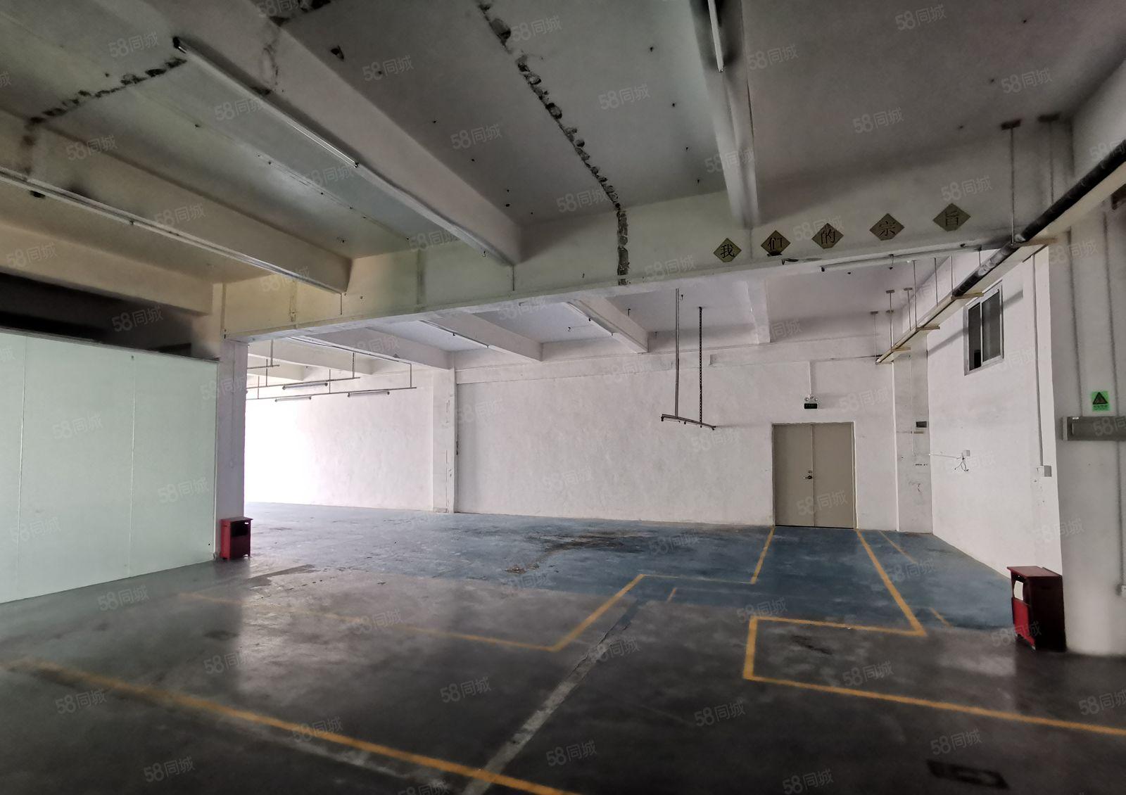 龙华观澜桂花梅关高速口原房东500平精装修厂房出租仓库出租