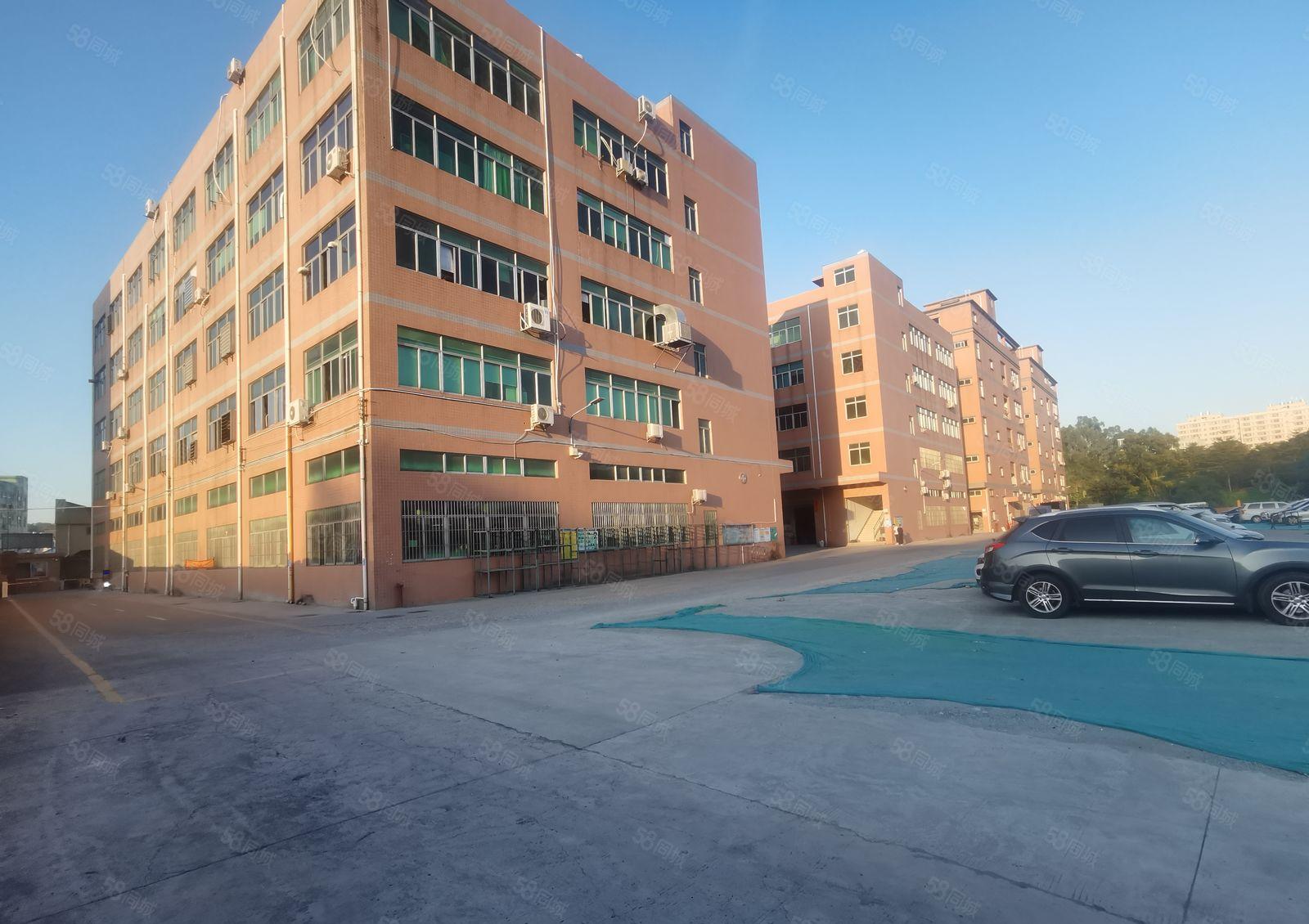 大水坑原房东大型园区楼上厂房出租，面积有980平米和400平