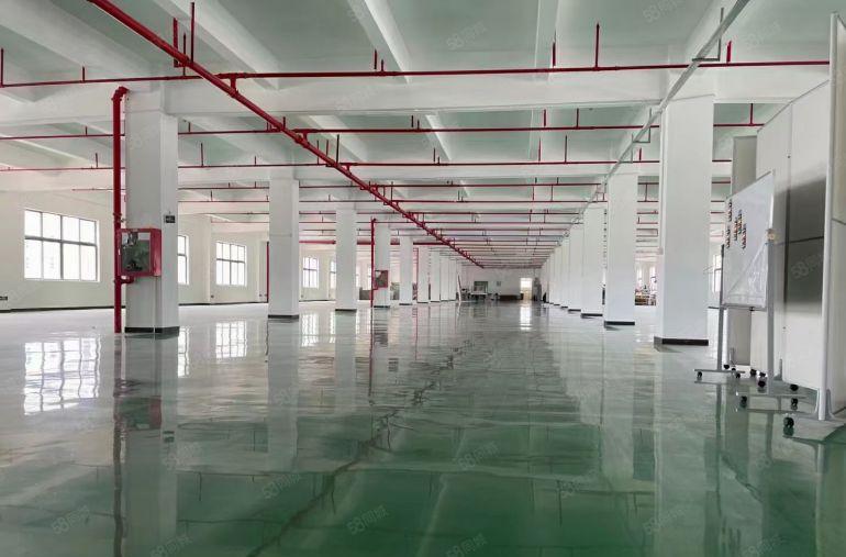 龙华大浪小面积办公研发厂房出租500平至8000平米分租仓库