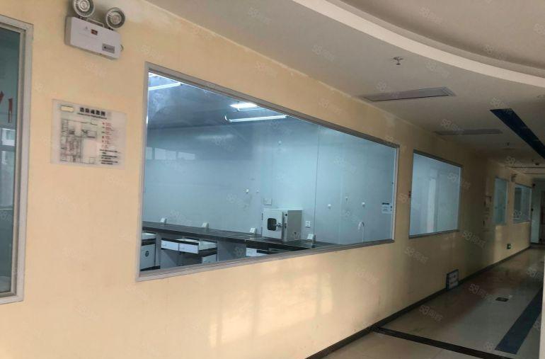 现成实验室场地原海普洛斯使用有上下水