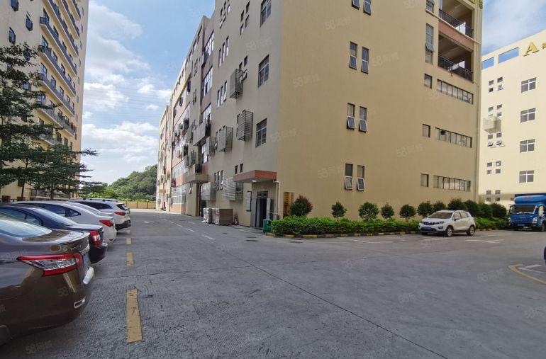 龙华地铁口原房东实际面积出租独门独院厂房4800平大小面积分